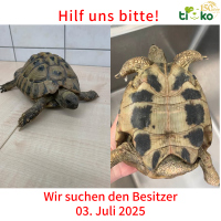 thumb_Fundtiere FB(60)